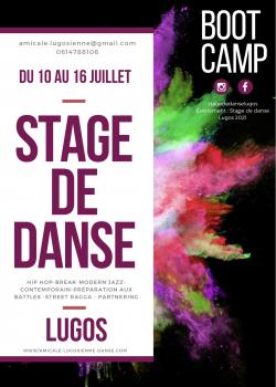 Stage de Break danceHip-hopModern’jazzDanse ContemporaineDanse Contact à Lugos en mai 2024