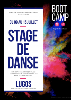 Stage de Modern’jazzBreak danceDanse ContemporaineHip-hopFloorworkModernDanses Urbaines à Lugos en juin 2022