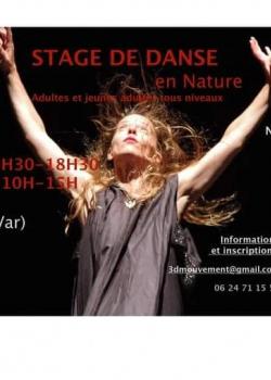 Stage de Danse Contemporaine à Hyères en mai 2022