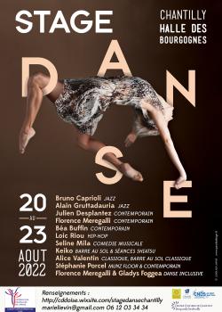Stage de Barre à TerreClassiqueDanse ContemporaineDanse JazzModern’jazzHip-hopComédie musicale à Chantilly en août 2022