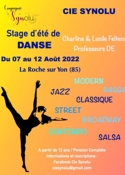 Stage de Afro DanceBachataClassiqueDanse ContemporaineDanse JazzDanses LatinesLyrical à La Roche-sur-Yon en juin 2022
