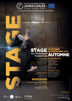 Stage de ClassiqueDanse ContemporaineDanses UrbainesModernModern’jazzLyricalDanse JazzAfro Dance à Toulouse en avril 2024