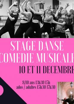 Stage de Comédie musicale à Falaise en novembre 2022