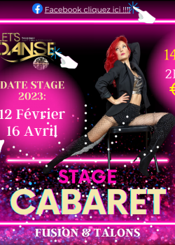 Stage de Cabaret à Saint-Thibault-des-Vignes en janvier 2023