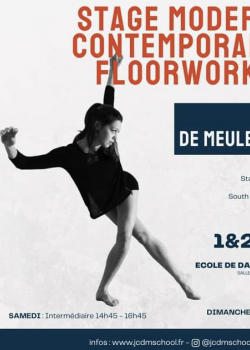 Stage de FloorworkModernContemporary à Moret-Loing-et-Orvanne en mars 2023