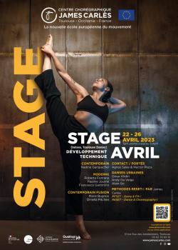 Stage de Danse ContemporaineModernDanses UrbainesStreet JazzDanse ContactHeels danceHip-hopAfro Dance à Toulouse en avril 2024