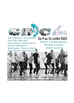 Stage de ClassiqueHip-hopDanse ContactAfro DanceDanses Urbaines à Saint-Junien en mai 2023