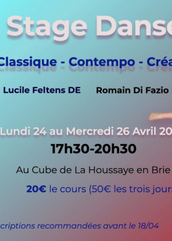 Stage de Danse ContemporaineClassique à La Houssaye-en-Brie en mai 2024