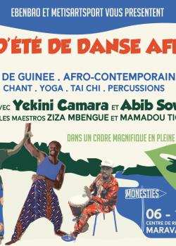 Stage de Danse AfricaineAfro DanceDanse Contemporaine à Monestiés en avril 2024