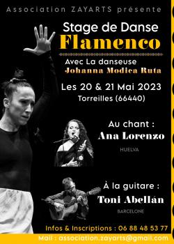 Stage de Flamenco à Torreilles en avril 2024