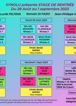 Stage de ClassiqueDanses LatinesDanse JazzDanse ContemporaineModern à La Houssaye-en-Brie en mai 2024