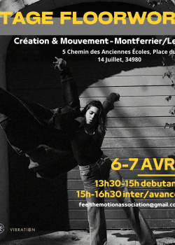 Stage de FloorworkDanse Contemporaine à Montferrier-sur-Lez en mars 2024