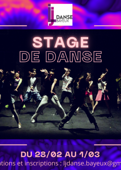 Stage de Afro DanceJiveHeels danceClassiqueHip-hopCha-ChaLyrical à Bayeux en février 2024