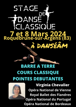 Stage de Barre à TerreClassique à Roquebrune-sur-Argens en février 2024