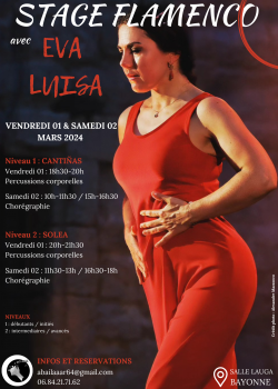 Stage de Flamenco à Bayonne en février 2024