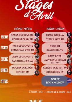 Stage de Dancehall  ReggaDanses UrbainesHip-hopSalsaRockLindy Hop à Toulouse en mars 2024