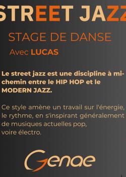 Stage de Street Jazz à Écully en avril 2024