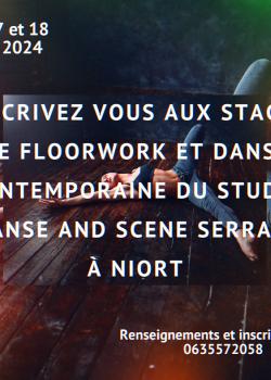 Stage de FloorworkDanse Contemporaine à Niort en avril 2024